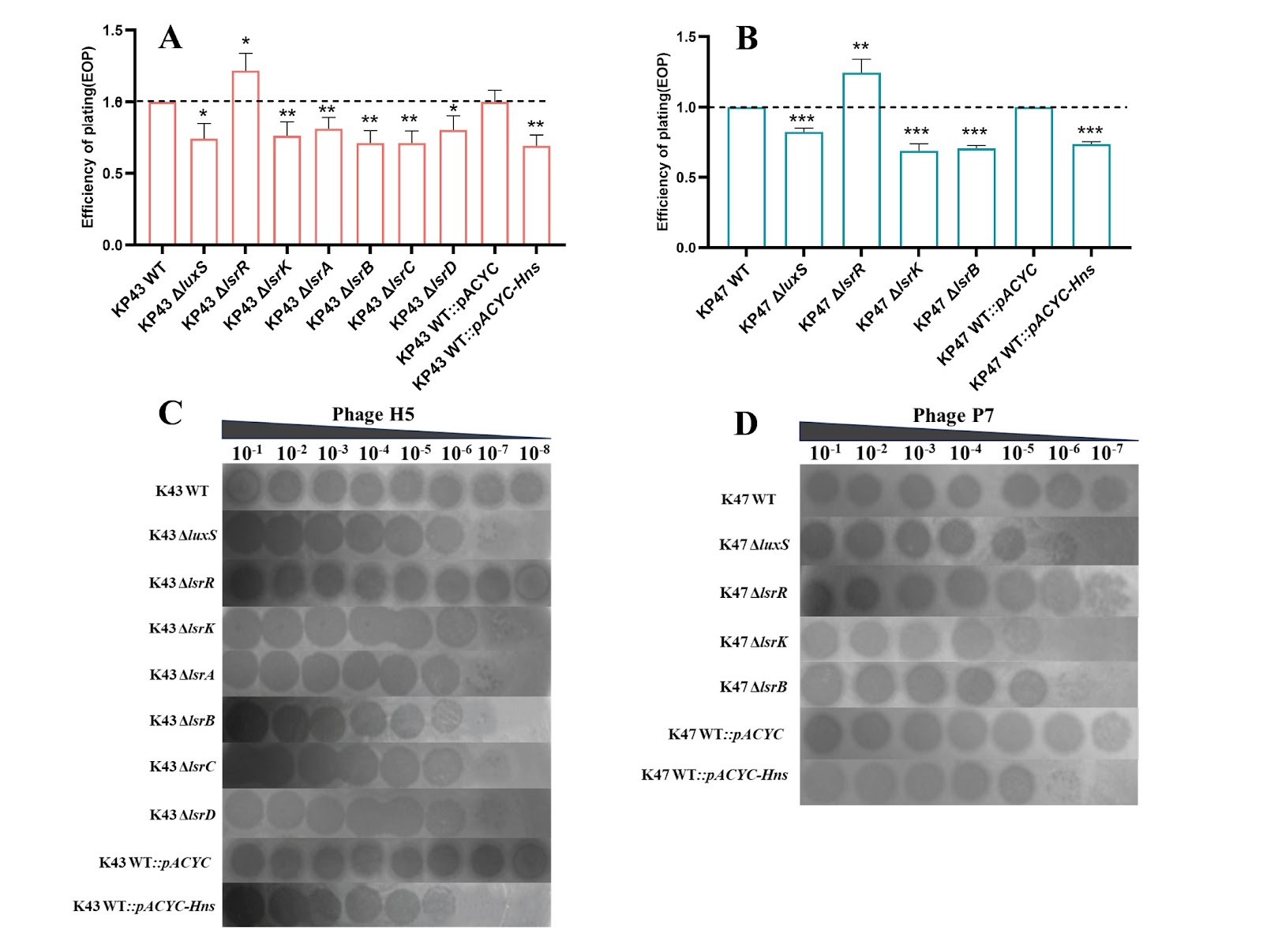 H-NS enhances phage resistance in Klebsiella pneumoniae by suppressing quorum sensing