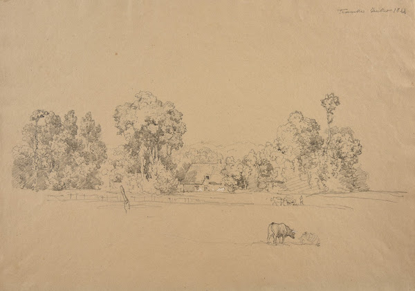 Paysage à Trouville