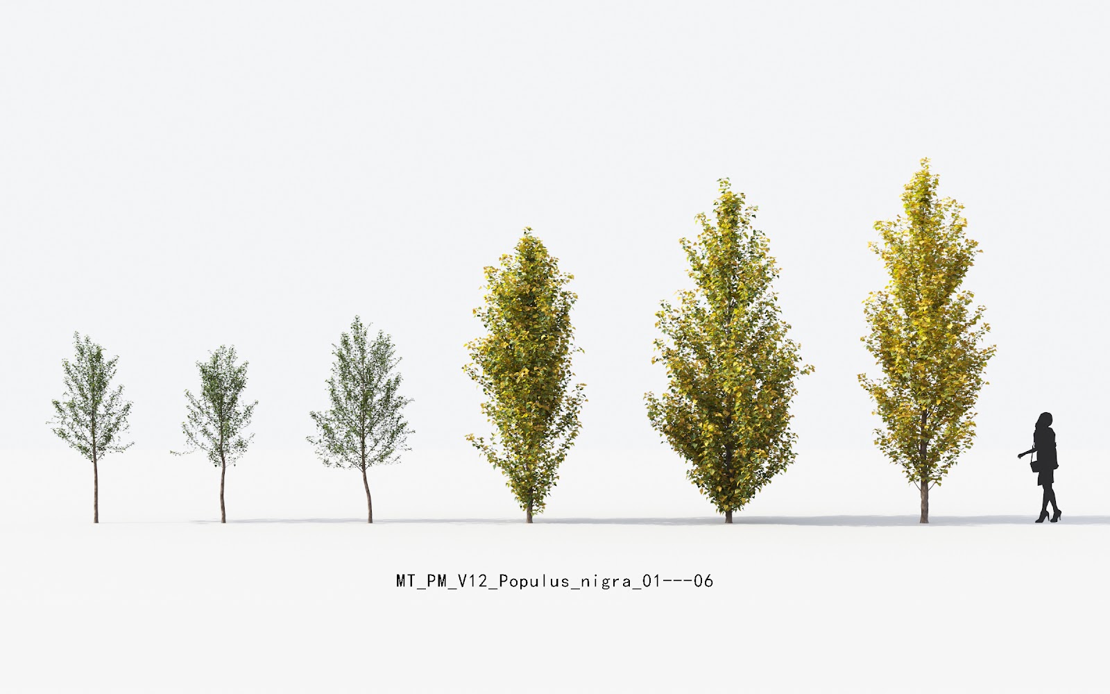 Maxtree - Plant Models Vol.12