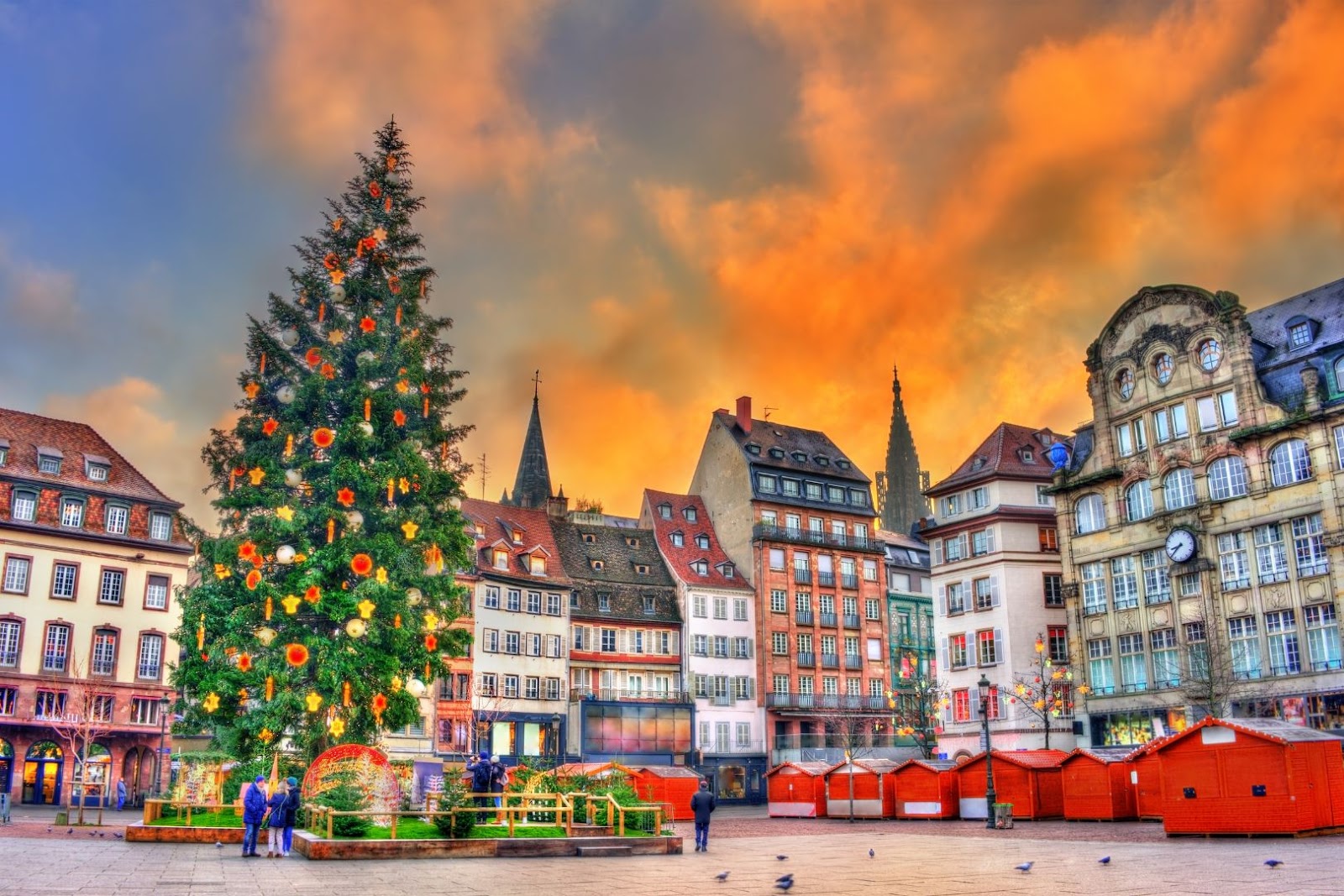 France Strasbourg Christmas Tree