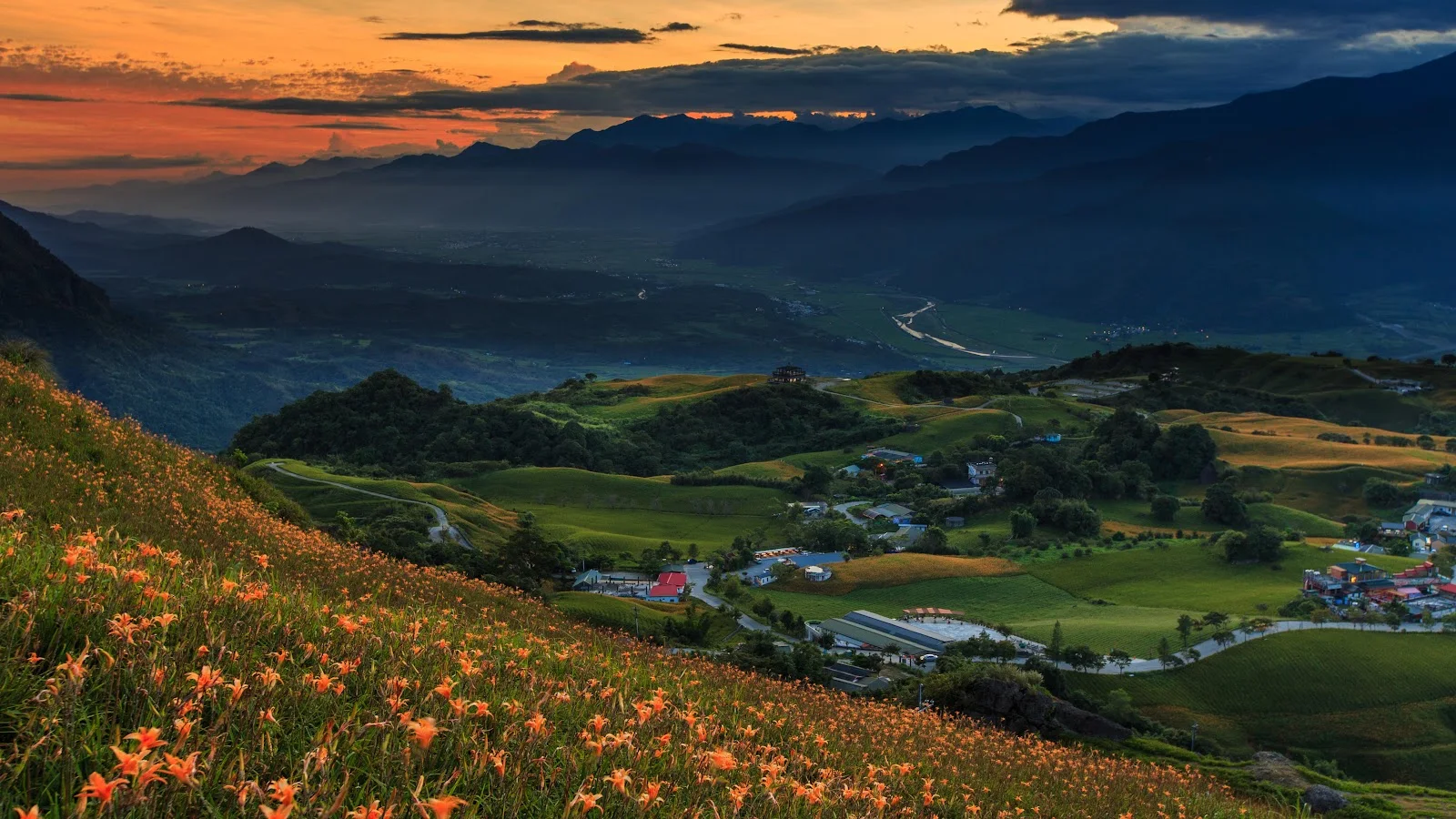 Blooming Lily Fields in Mountains - Landscape Photography 5K Wallpaper (5120x2880)