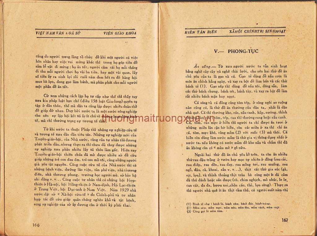 Báo : Khăn quàng đỏ (số 6/7  - năm thứ 7, 1983) - Trang 84