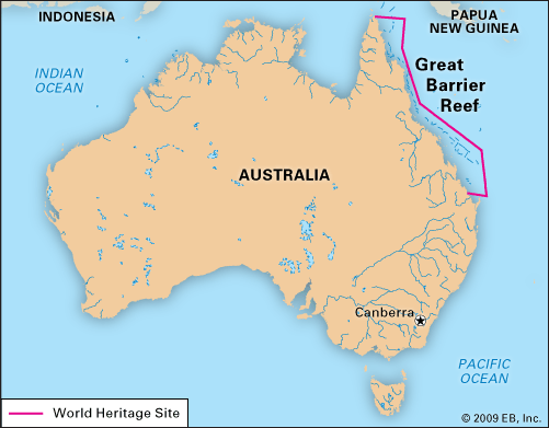 Great Barrier Reef Australia Map Coral and Seagrass Coral Sea Seagrass Sea CarbonEthics Indonesia