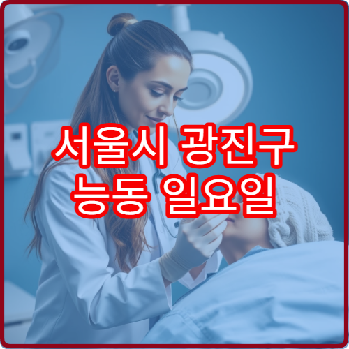 서울시 광진구 능동 일요일 내과 진료 병원 안내 주말에도 여는 내과 찾기