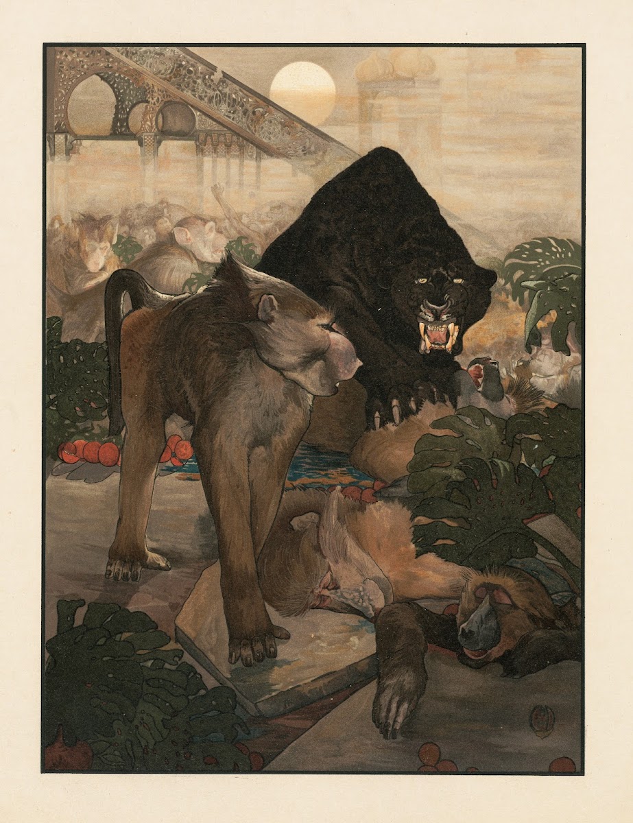 Monkey fight 1903
