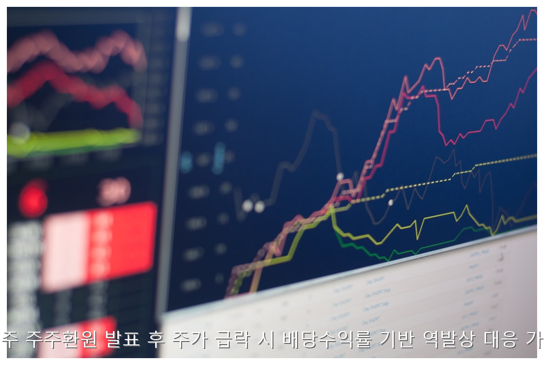 대형주 주주환원 발표 후 주가 급락 시 배당수익률 기반 역발상 대응 가이드 핵심 안내 및 분석 인포그래픽 (6)