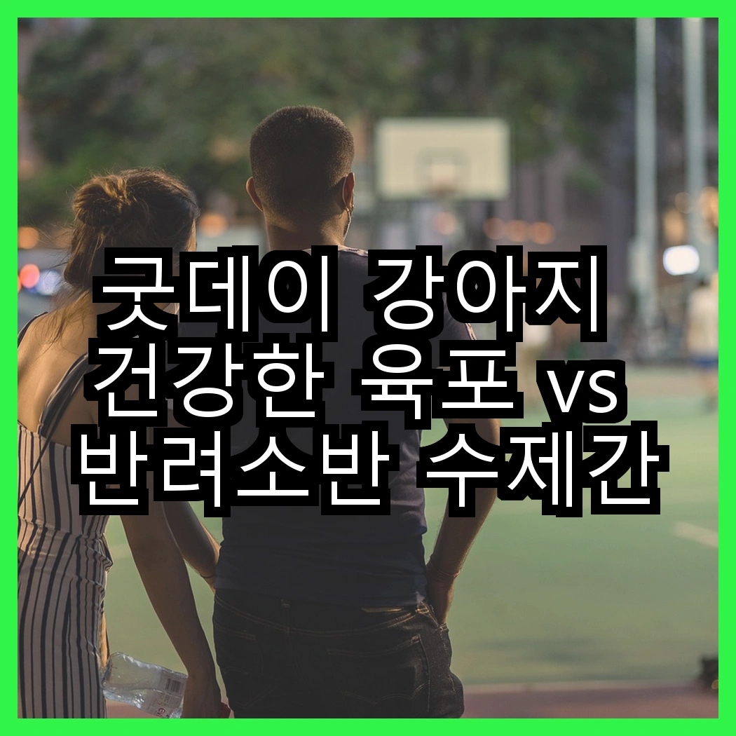 굿데이 강아지 건강한 육포 vs 반려소반 수제간식 육포, 어떤 선택이 반려견에게 더 좋을까? 썸네일