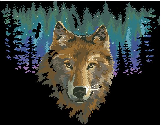 DIM00350 Night Eyes