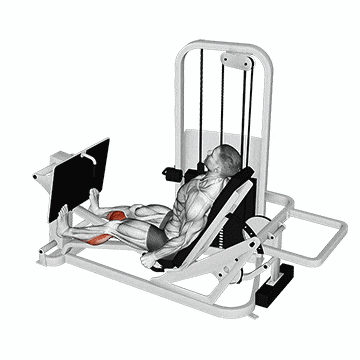 Leg Press Calf Raise