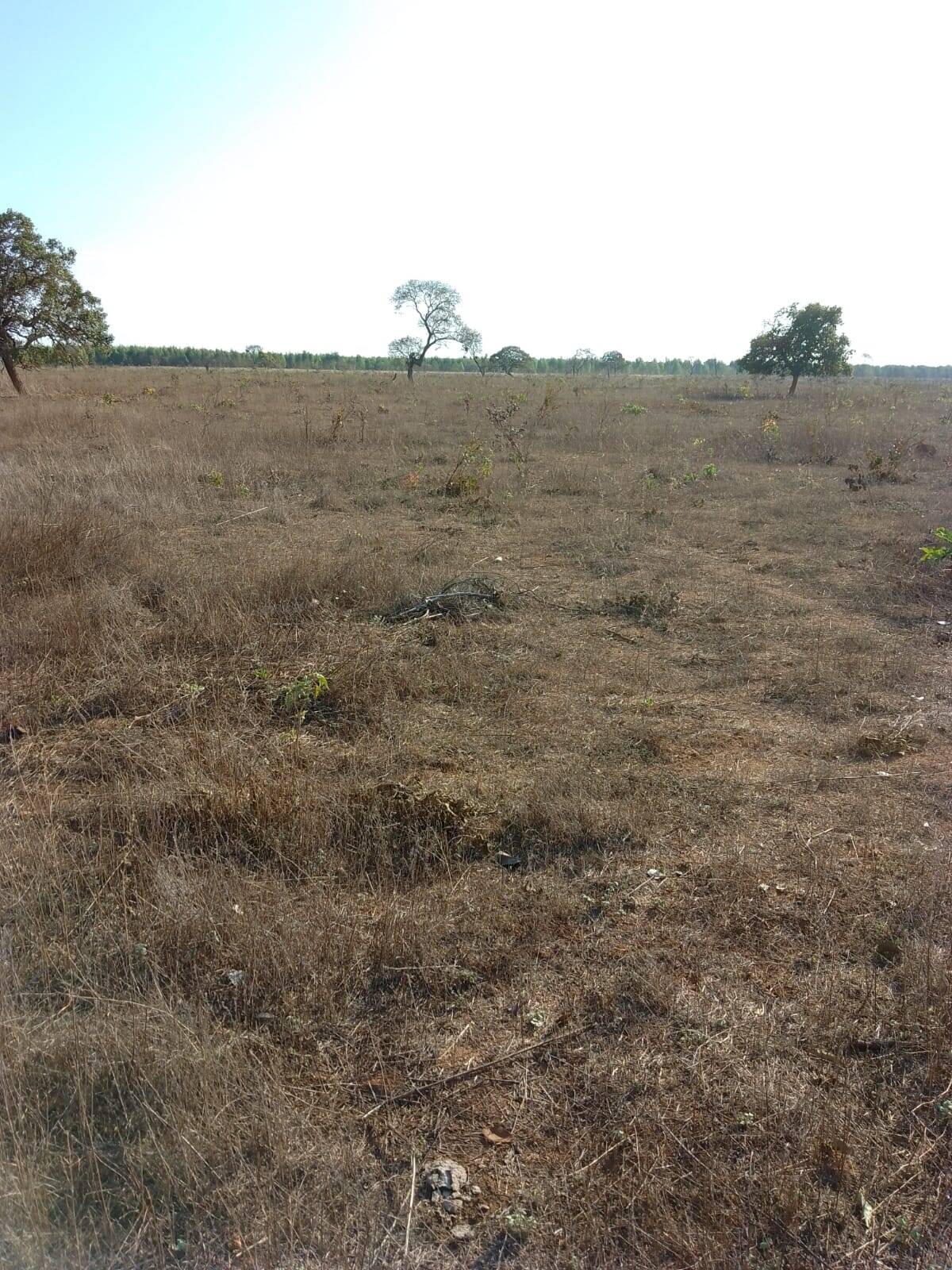 Fazenda em Arinos - MG  2