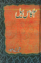 Akas Bail Social Novels by Shireen Haider PDF