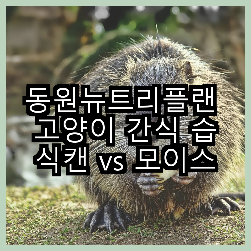 동원뉴트리플랜 고양이 간식 습식캔 vs 모이스트루 습식 간식, 어떤 맛이 더 쫄깃할까? 썸네일