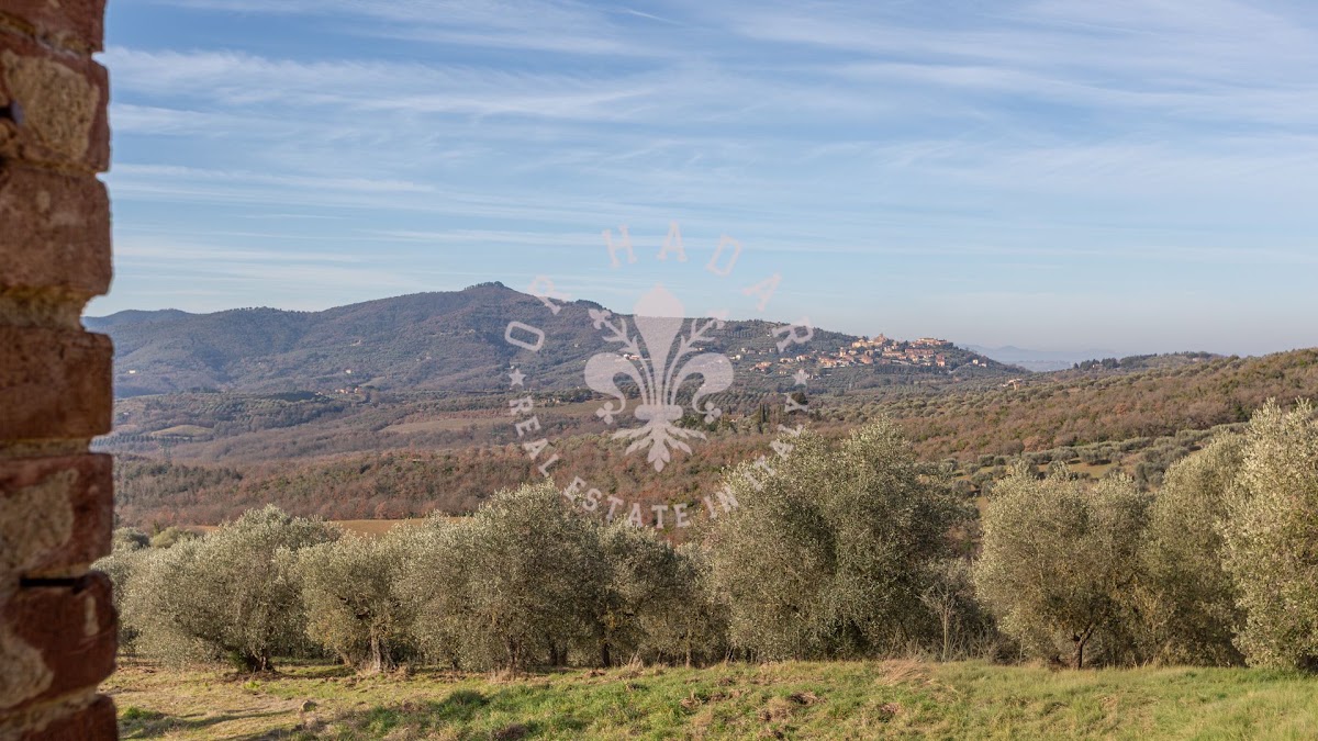 הפוג'יו דגלי אוליבי (Il Poggio degli Ulivi) — 22