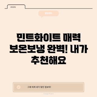 케이크보냉가방, 민트 화이트 보냉백, 이홈베이킹 제품, 피크닉 용품, 보온보냉 기능