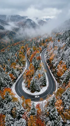 Autumn Forest Snowy Road Curve