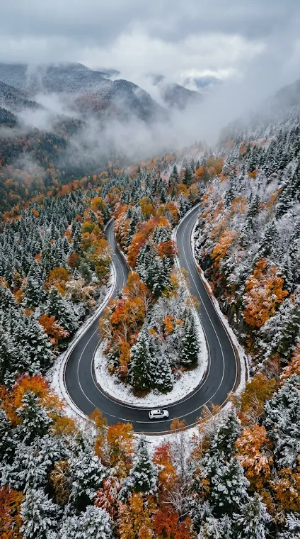 Autumn Forest Snowy Road Curve