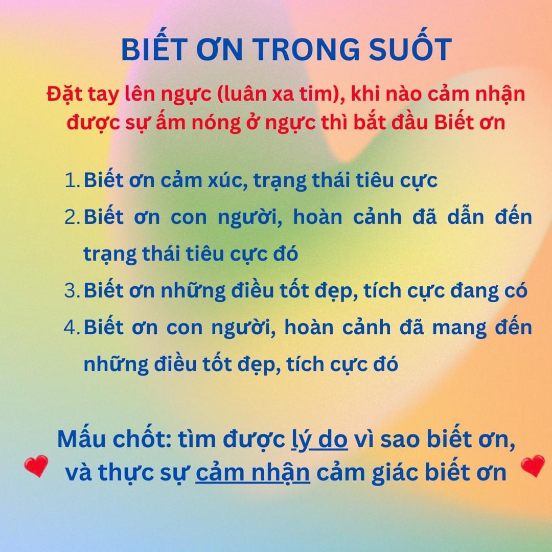 biet-on-trong-suot