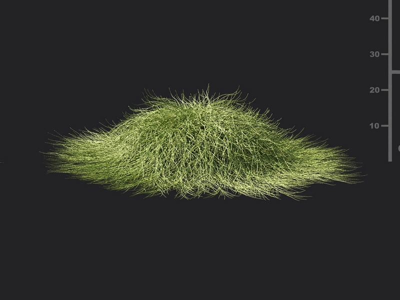 Maxtree - Plant Models Vol.119