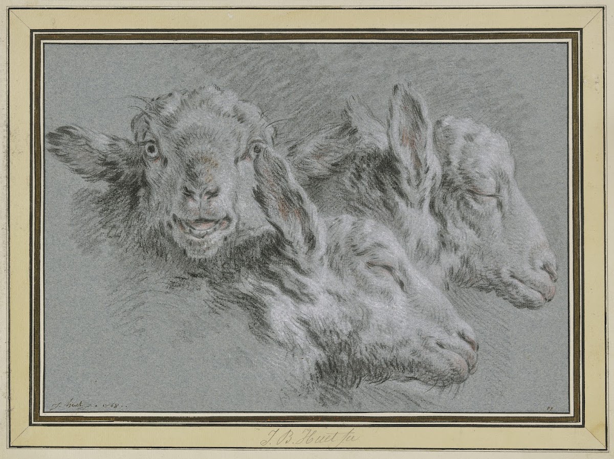 Drei Schafsköpfe wachend und schlafend 1768