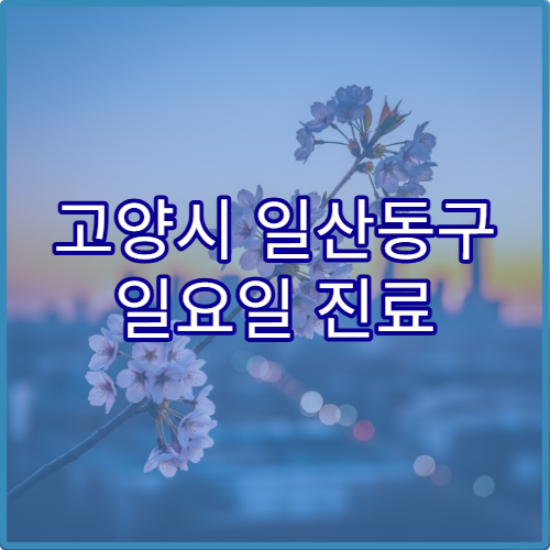 고양시 일산동구 일요일 진료 류마티스내과 병원 관절염·자가면역 질환 상담 가능