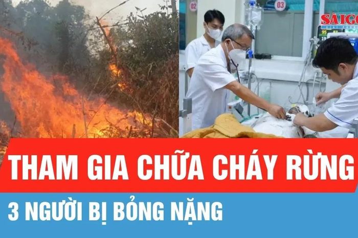 Điện Biên: Thăm hỏi, hỗ trợ 3 bệnh nhân bị bỏng nặng khi tham gia chữa cháy rừng - Báo Sài Gòn Giải Phóng