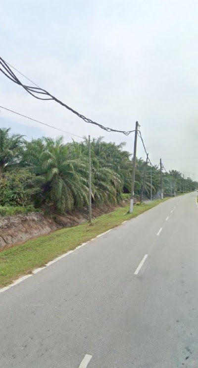 Tanah Pertanian Olak Lempit 2.9 Ekar — foto 5/8