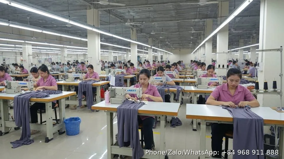 Yoga Pants Supplier - Gold Garment Vietnam