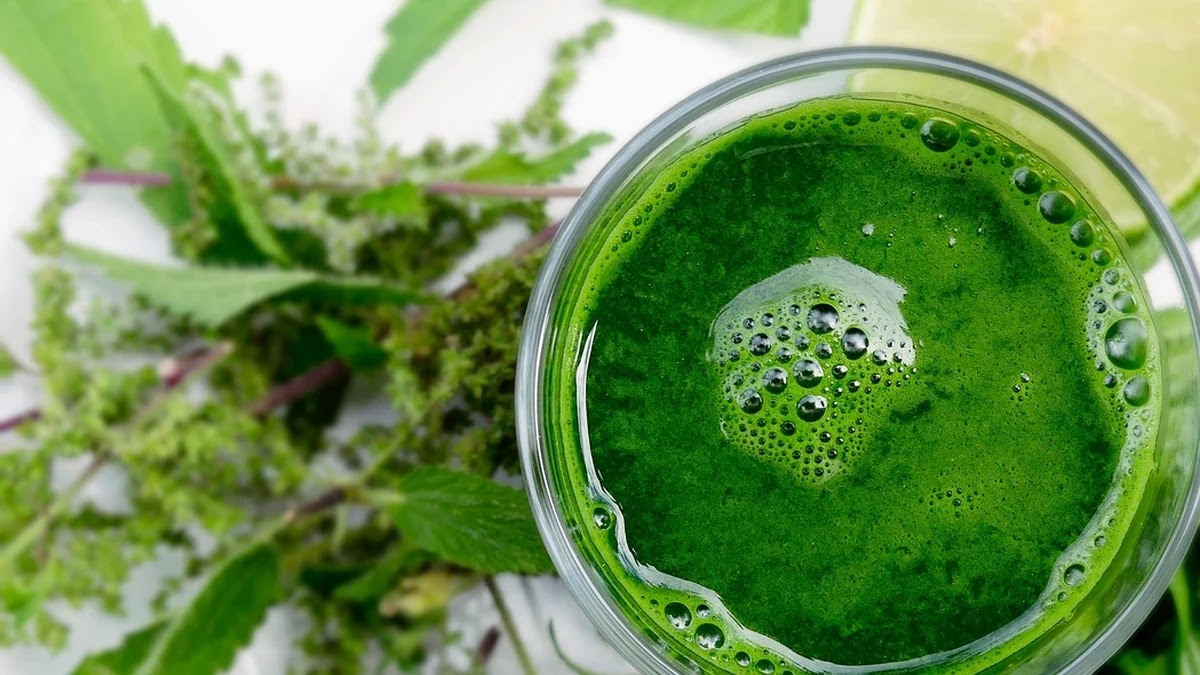 유산균과 프로바이오틱스 차이, 장 건강에 좋은 선택법