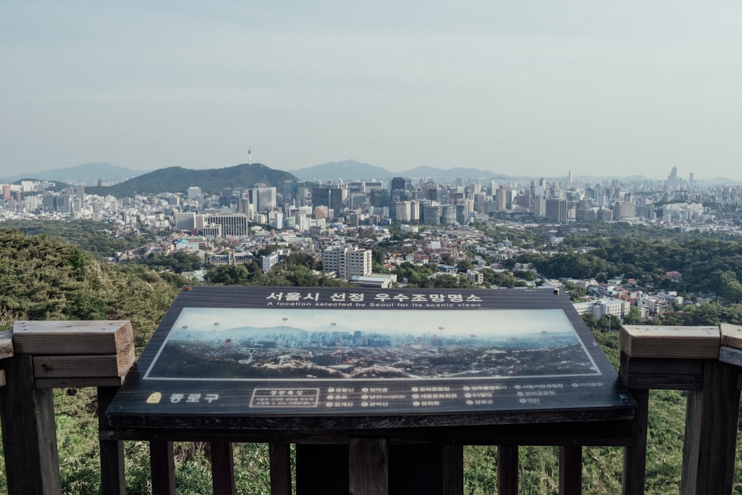 💰 99% 모르는 우도 전기차 최저가 예약 '이것'!