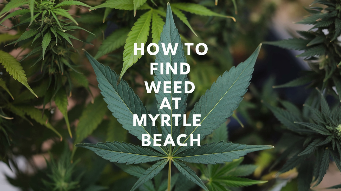 How to Find Weed in Myrtle Beach: Legal Tips & Local Spots