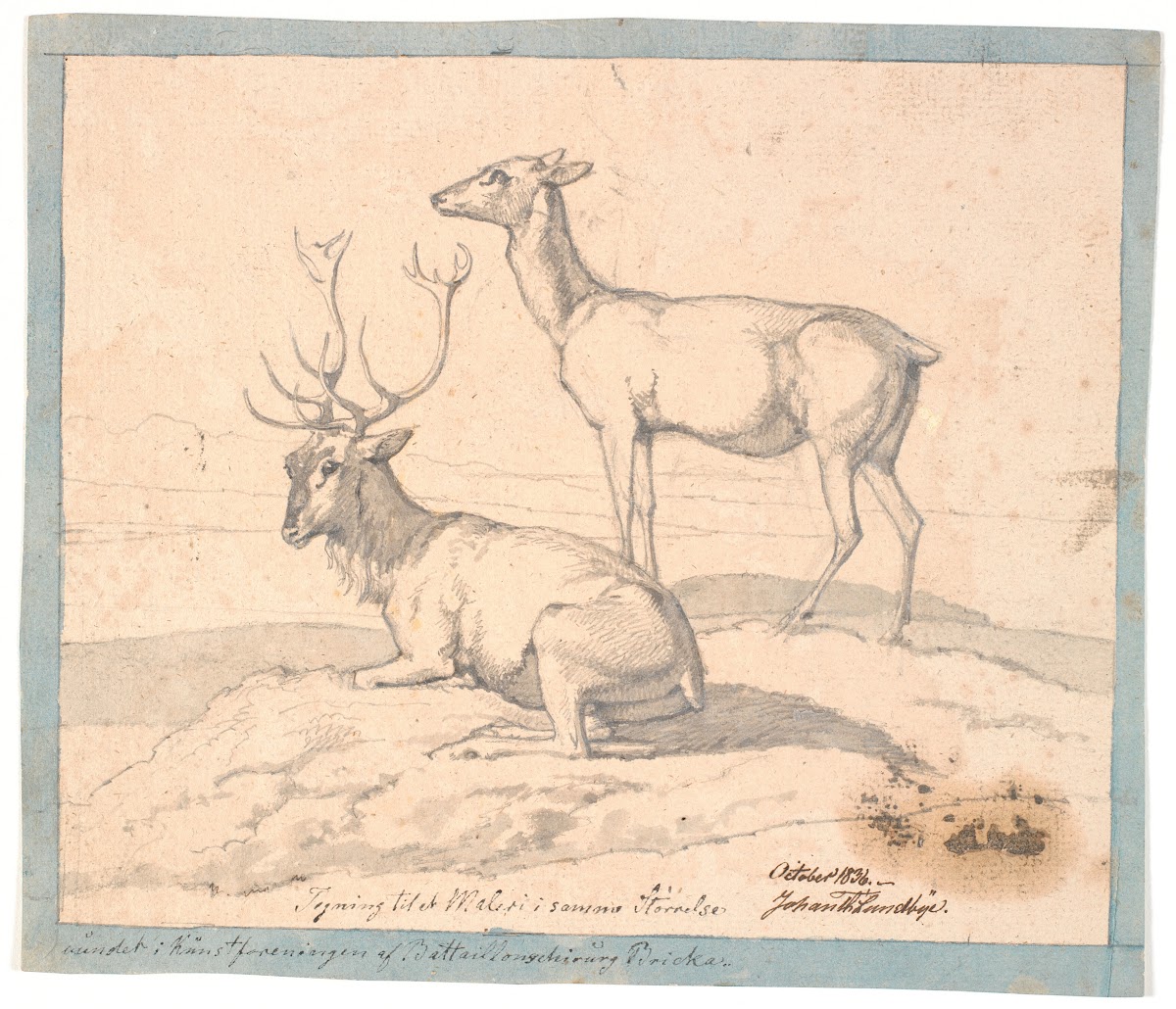 En liggende hjort og en stående hind 1836