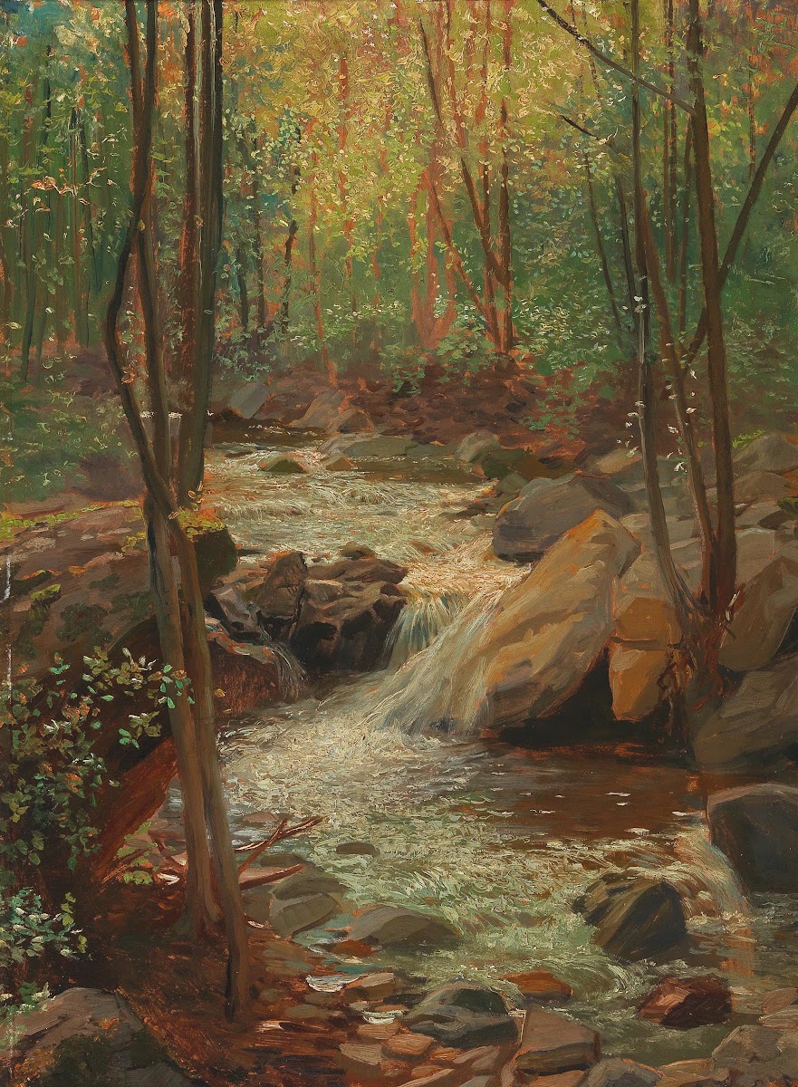 Woodland Stream