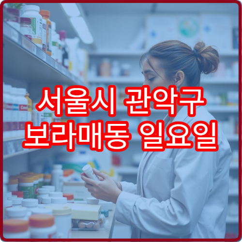 서울시 관악구 보라매동 일요일 당번약국 안내 주말 문 여는 약국 찾기