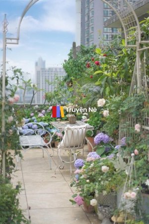 Chuyện Giảm Cân Của Nha Hoàn Độc Ác