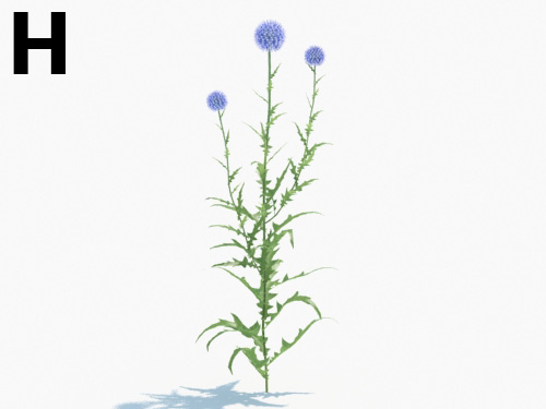 Maxtree - Plant Models Vol.3
