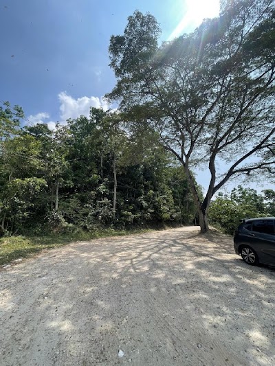 Tanah Pertanian 3.75 Ekar Kg Sungai Kembung Semenyih — foto 10/10
