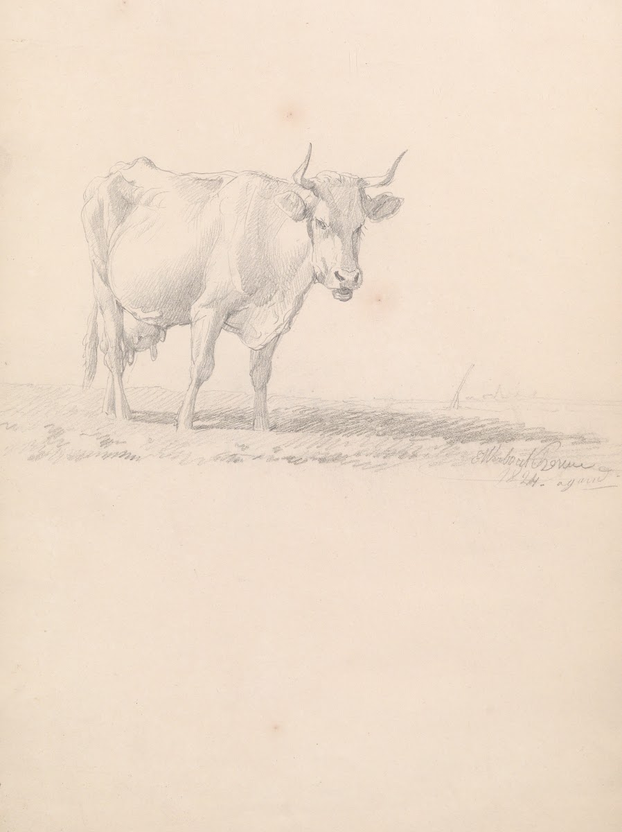 Cow 19th century