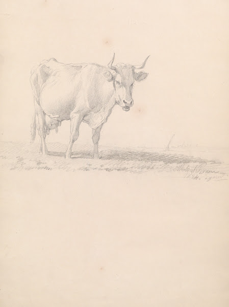 Cow 19th century