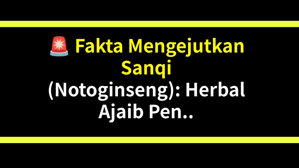 🚨 Fakta Mengejutkan Sanqi (Notoginseng): Herbal Ajaib Penghenti Darah & Pembunuh Nyeri?