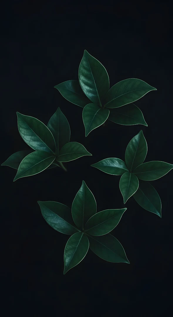 Symmetrical Dark Green Leaves on Black Minimal Background