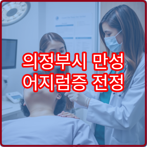 의정부시 만성 어지럼증 전정 기능 검사 및 치료 병원 정보