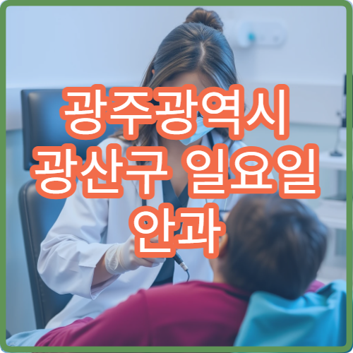 광주광역시 광산구 일요일 안과 진료 가능한 병원