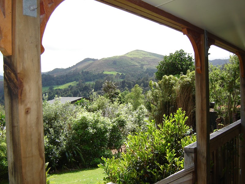 21A John Cotter Road, Paeroa, Waikato, 3674 realty