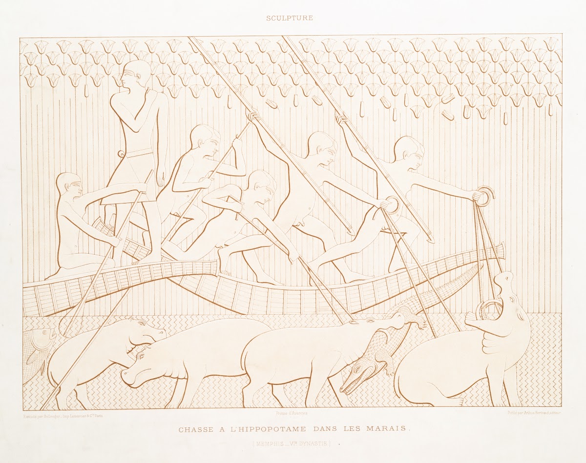 Dessin chasse à hippopotame dans les marais Memphis  VIe dynastie 1878