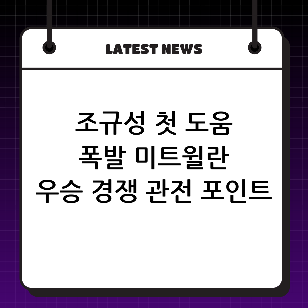 이미지