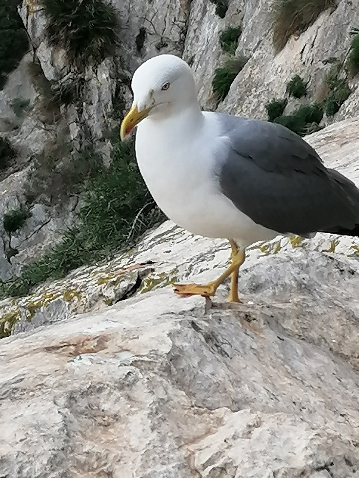 Photo de l’escale Calpe