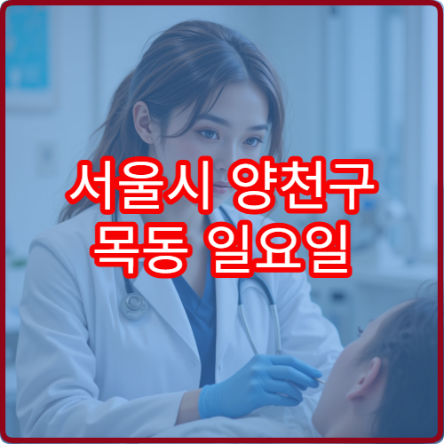 서울시 양천구 목동 일요일 진료 가능한 한의원 통증 완화 목적 방문 안내