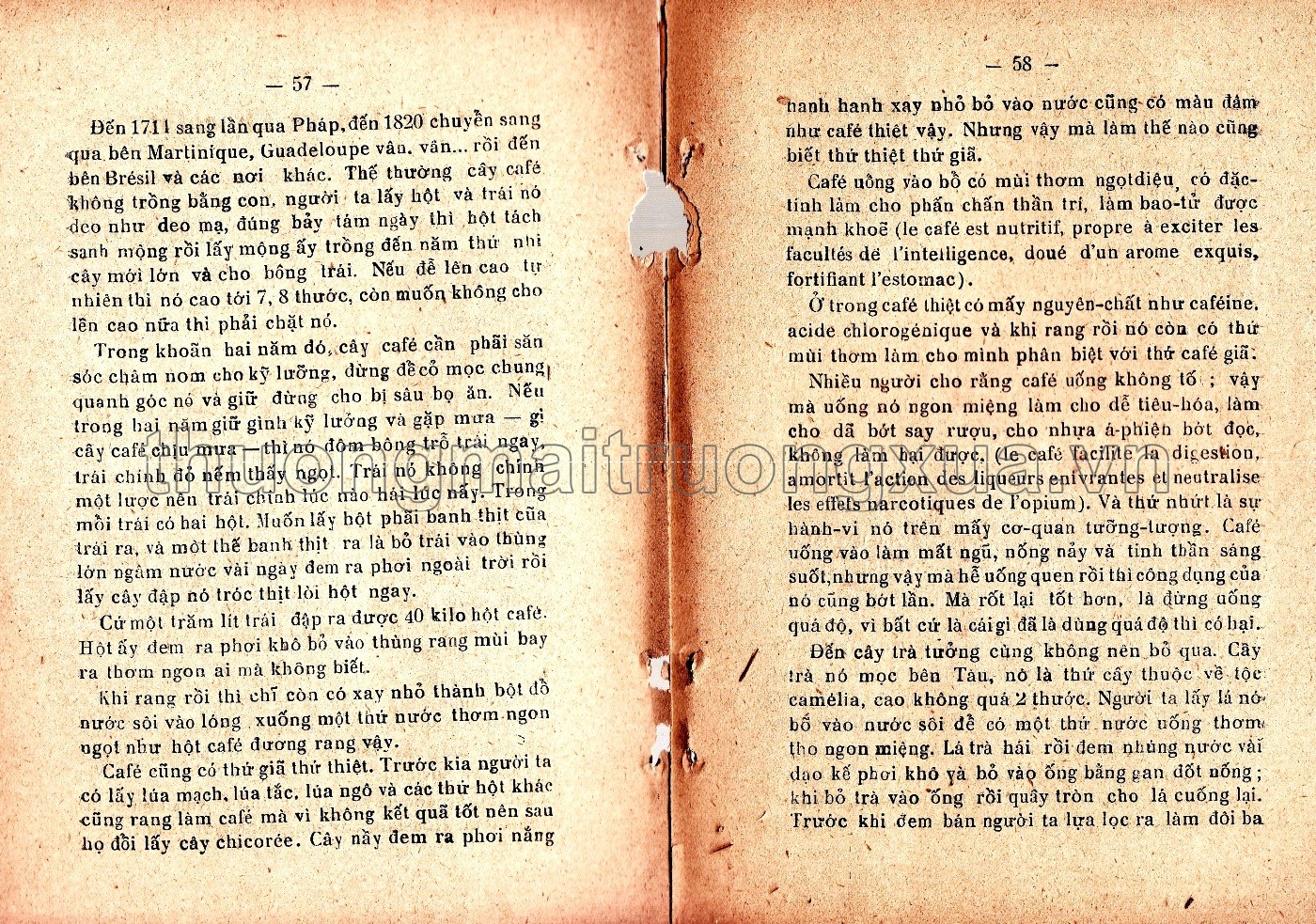 Khoa học tùng đàm (1934) - Trang 37