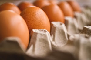 Feeding Iowa: How 302,000 Eggs Combat Food Insecurity, A Massive Donation by the Iowa Egg Council.