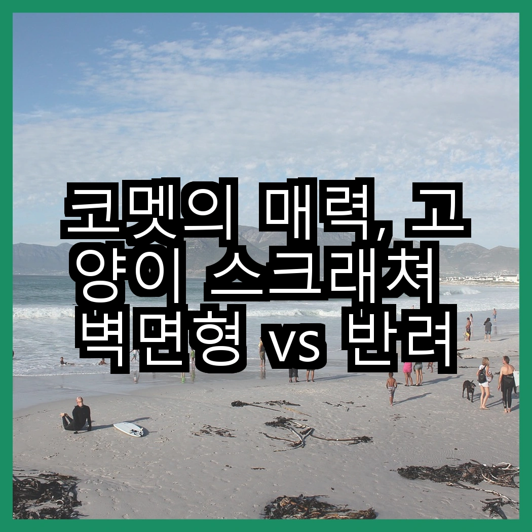 코멧의 매력, 고양이 스크래쳐 벽면형 vs 반려동물 배변봉투 리필형, 어떤 것이 더 필요할까? 썸네일